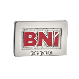 25 Years Service Pin (Magnetic)