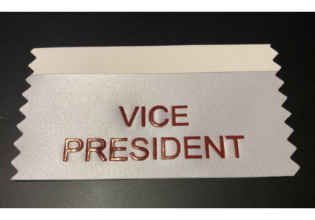 Vice President (Pack of 10)
